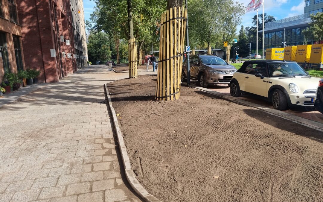 De Raad Bouw – De Ananas Leiden
